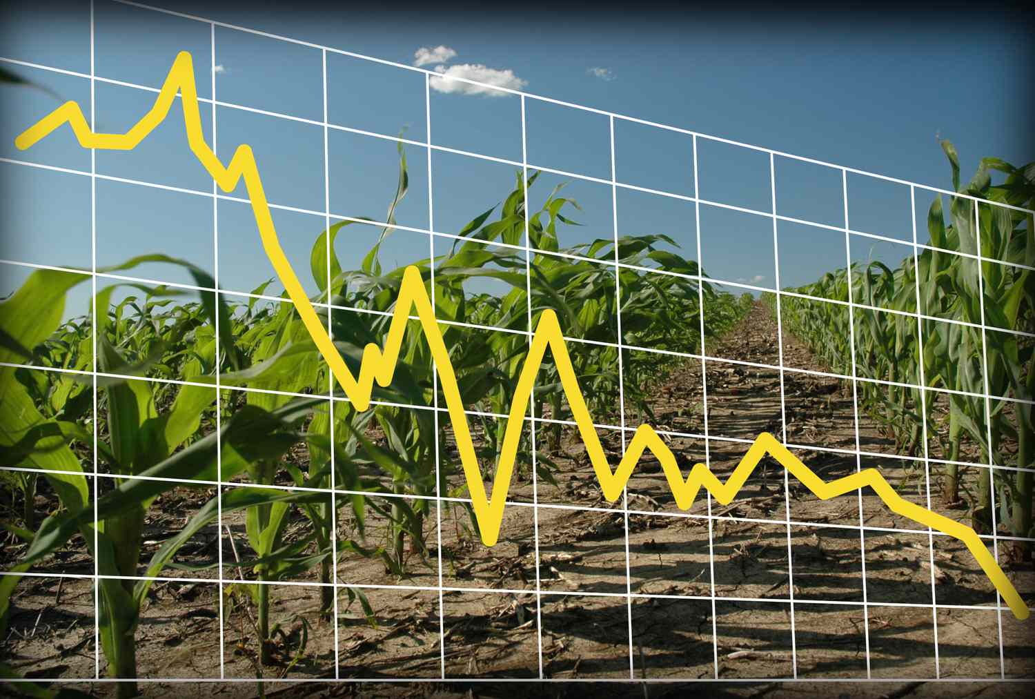 ABŞ Kənd Təsərrüfatı Nazirliyi noyabr üzrə dünya təchizatı və tələbat hesabatını yayımlayıb